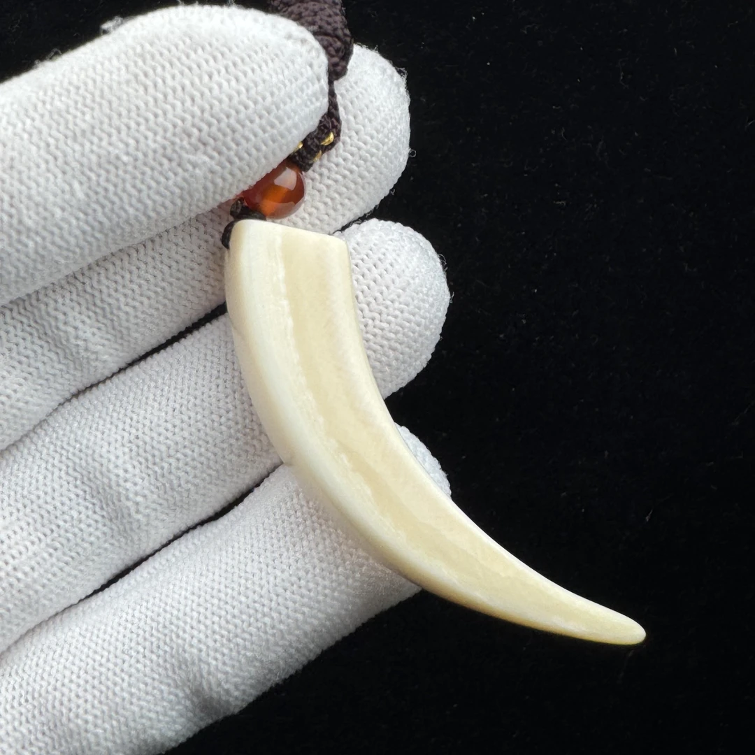 L3040天然猛犸牙 牙尖57mm支持鉴定假一罚四