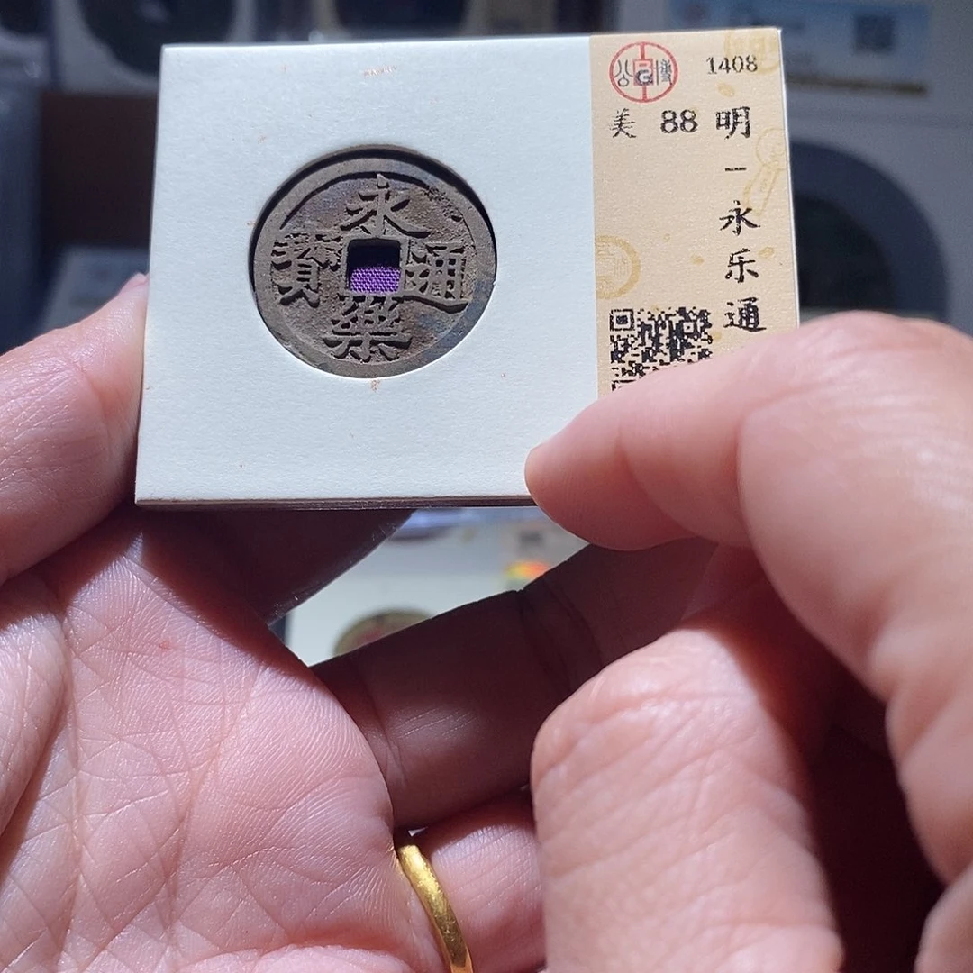贝壳7 恭喜发财恭喜发财