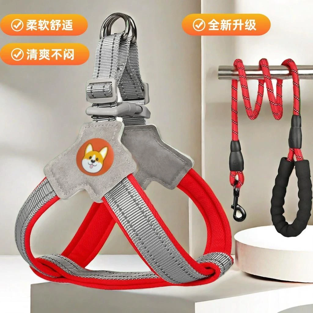 狗狗牵引绳坚固耐用博美遛狗牵引绳子发光狗狗项圈