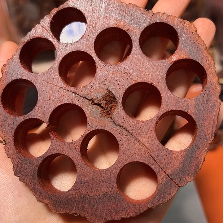 藤类降真香d3藕片多样性发其一