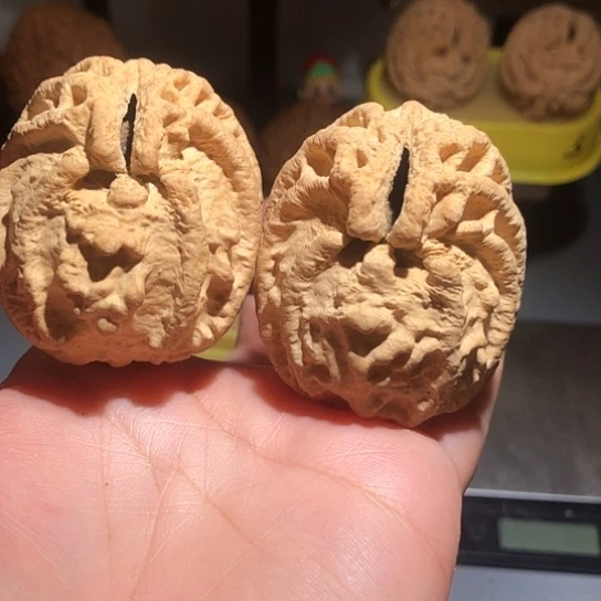 文玩核桃把件乾坤鬼脸核桃