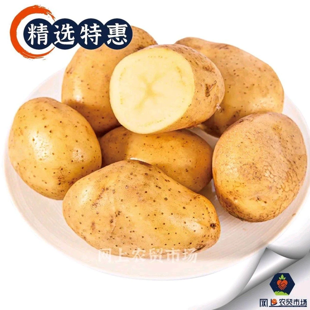 【新洋芋】土豆/洋芋/马铃薯500g/份土豆同城配