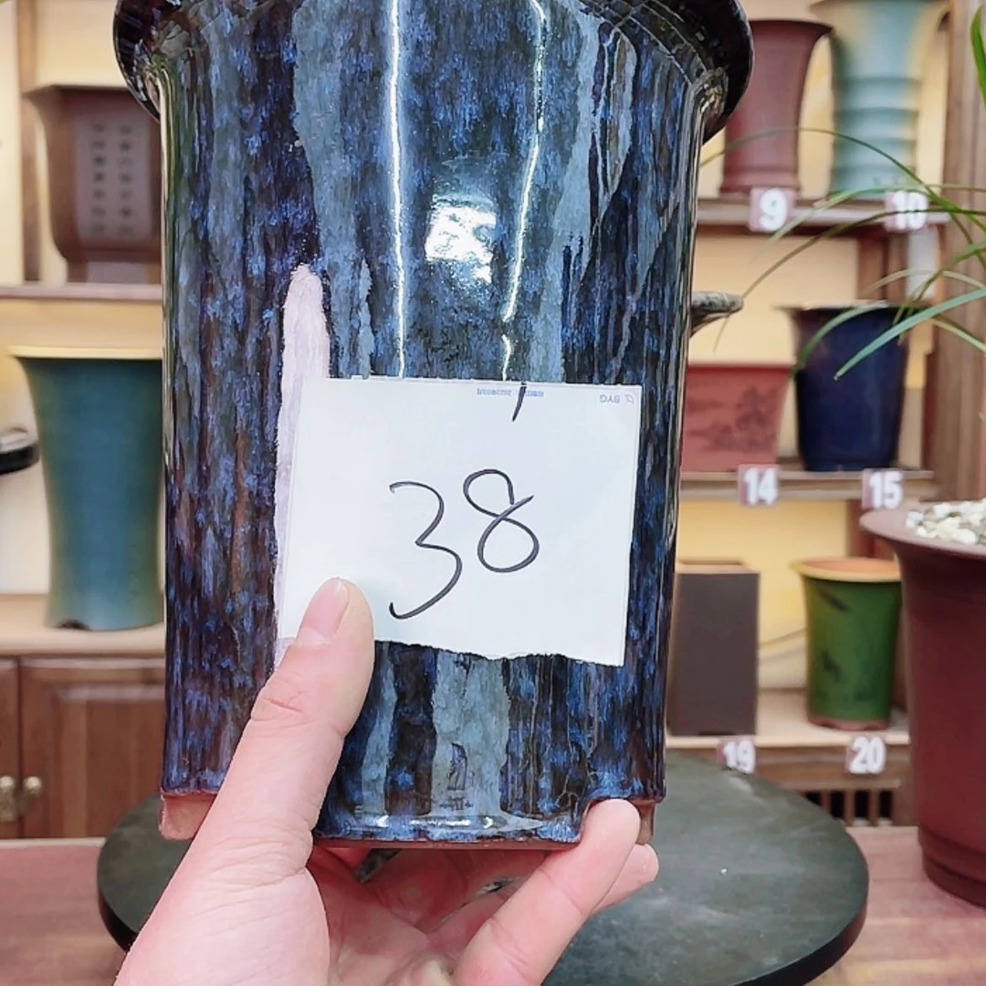 【闪购商品】紫砂花盆芳****迪兰花4555447747775558