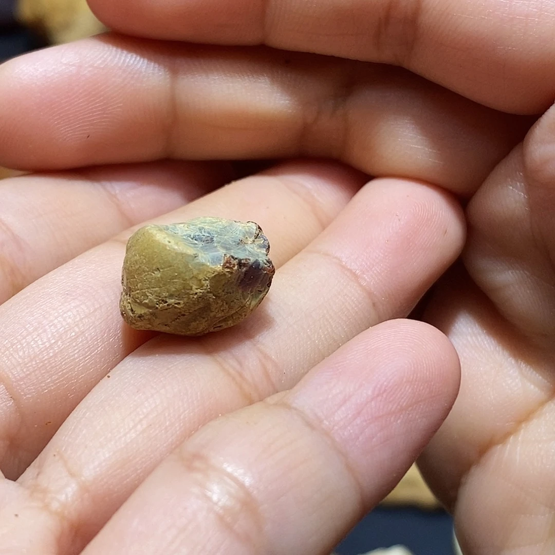 定制琥珀木*海蜜蜡原石