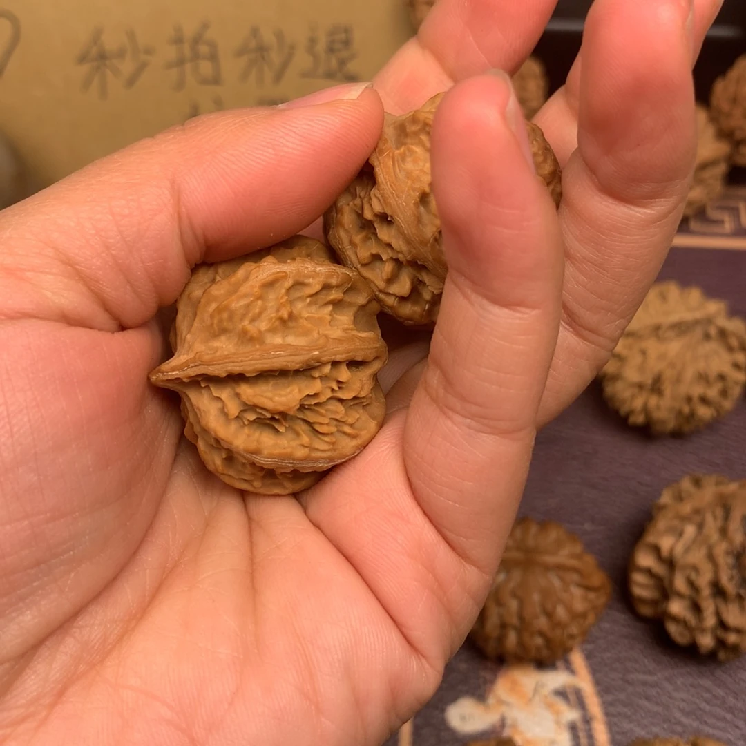 秦岭山脉的东北坡是