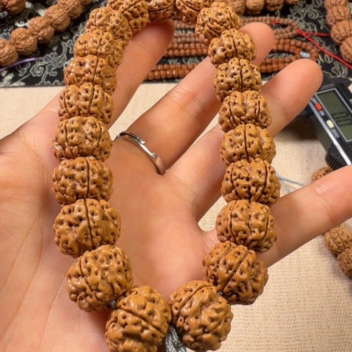 手串金刚菩提梅龙