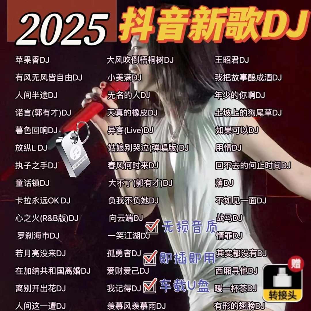 2025抖音热歌车载音乐U盘无损歌曲经典DJ车载u盘音乐视频优盘