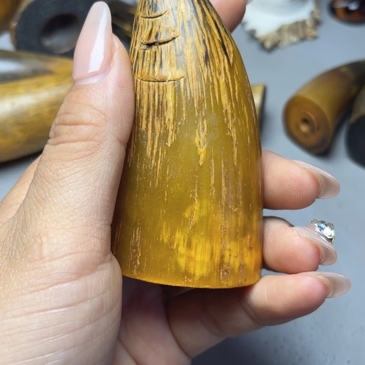 大果紫檀（缅甸花梨）