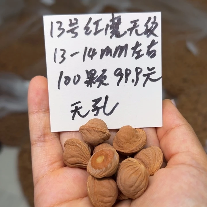木质类雕刻料 13-14 100颗