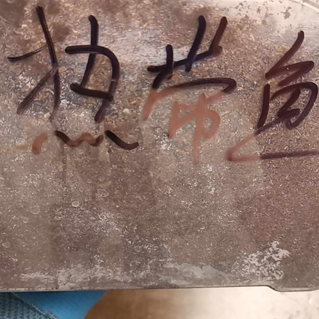 热带鱼  南洋母虫  补