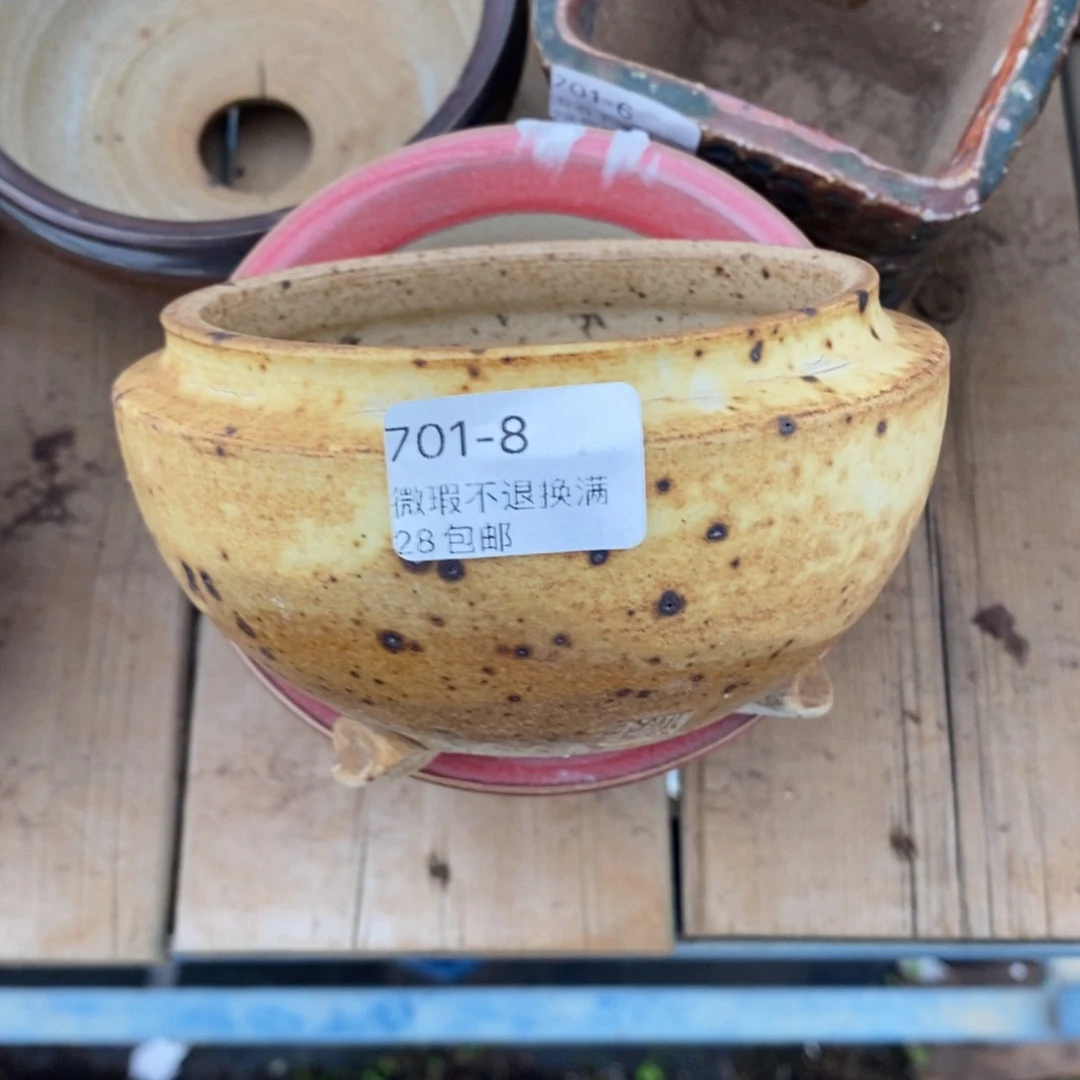8号捌家花盆内9.5高7