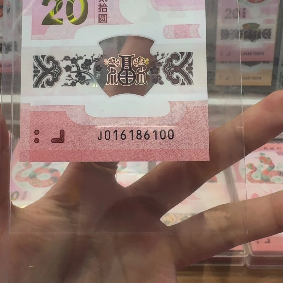 塑料蛇钞J016186100不支持七天无理由