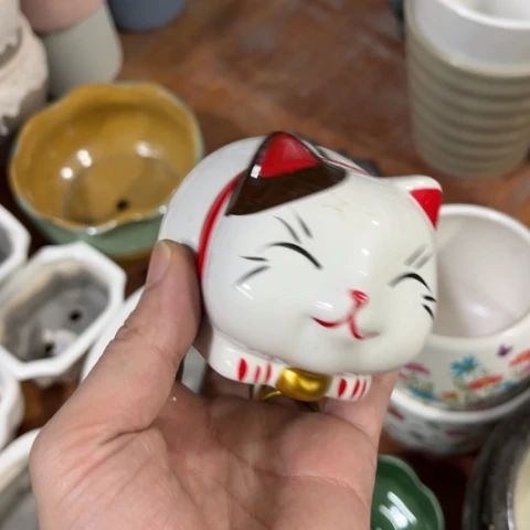 ［所有订单凑满15包邮］