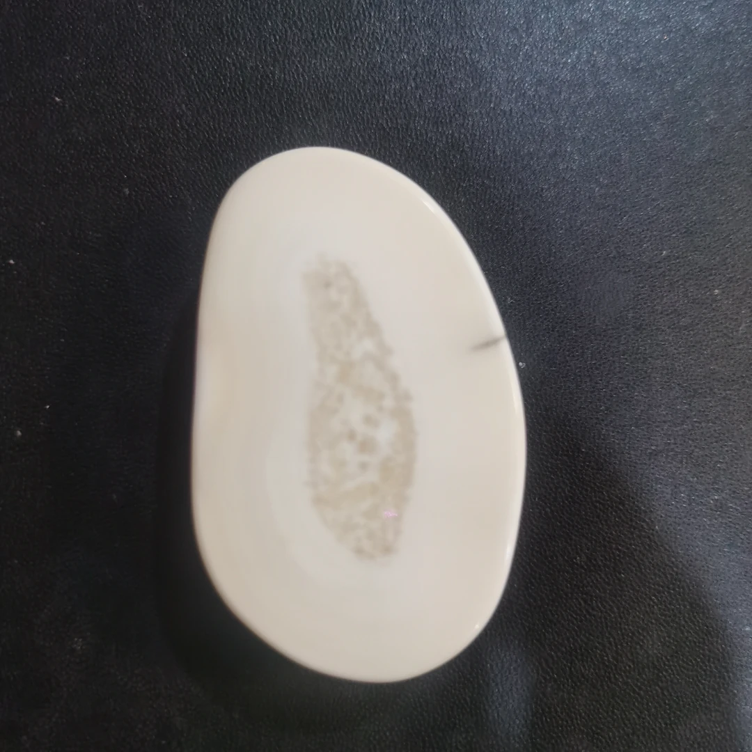 猛犸猛犸虬饼子 WT235