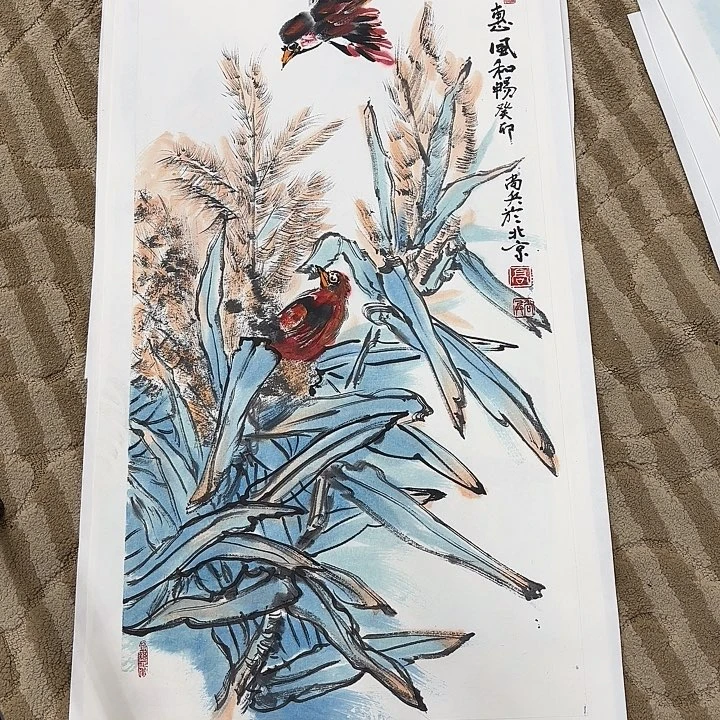 国画花鸟等多种鸟类的栖息地