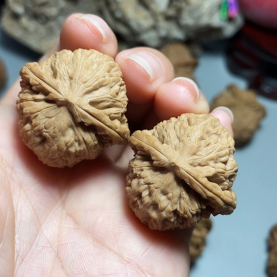 核桃手串/手链精品白狮子33