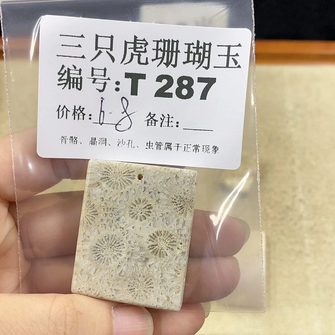 硅化珊瑚（珊瑚玉）1未镶嵌O****g