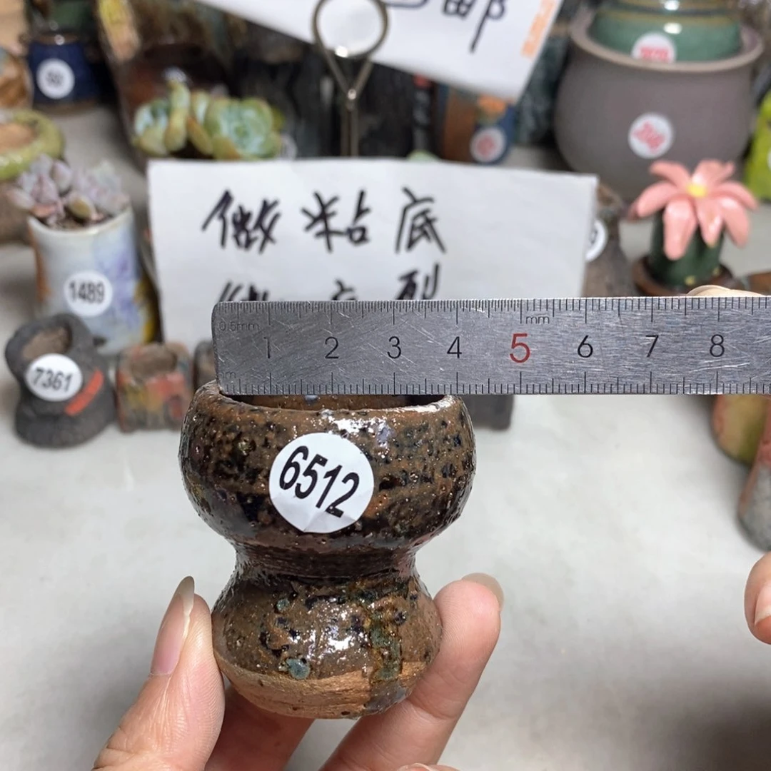 拍5送一个小礼物