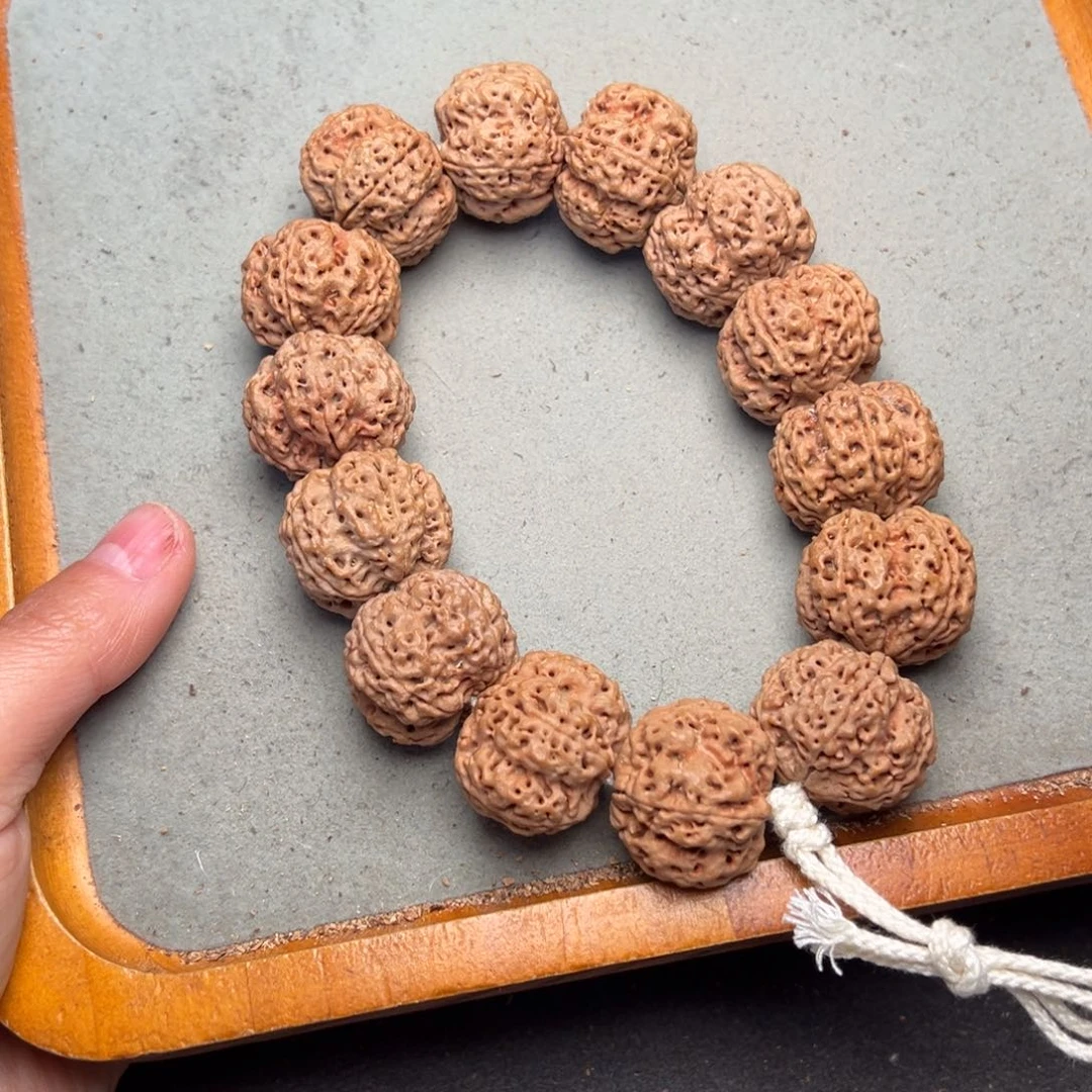 菩提17号金刚菩提安娜梅花25