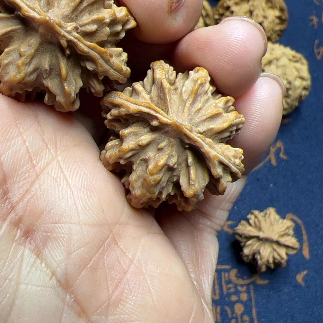 文玩核桃把件秦岭野生植物核桃