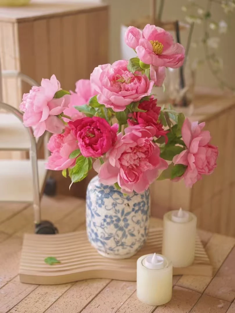 顺丰现货重瓣牡丹花鲜花洛阳菏泽大牡丹切花油牡丹单瓣芍药