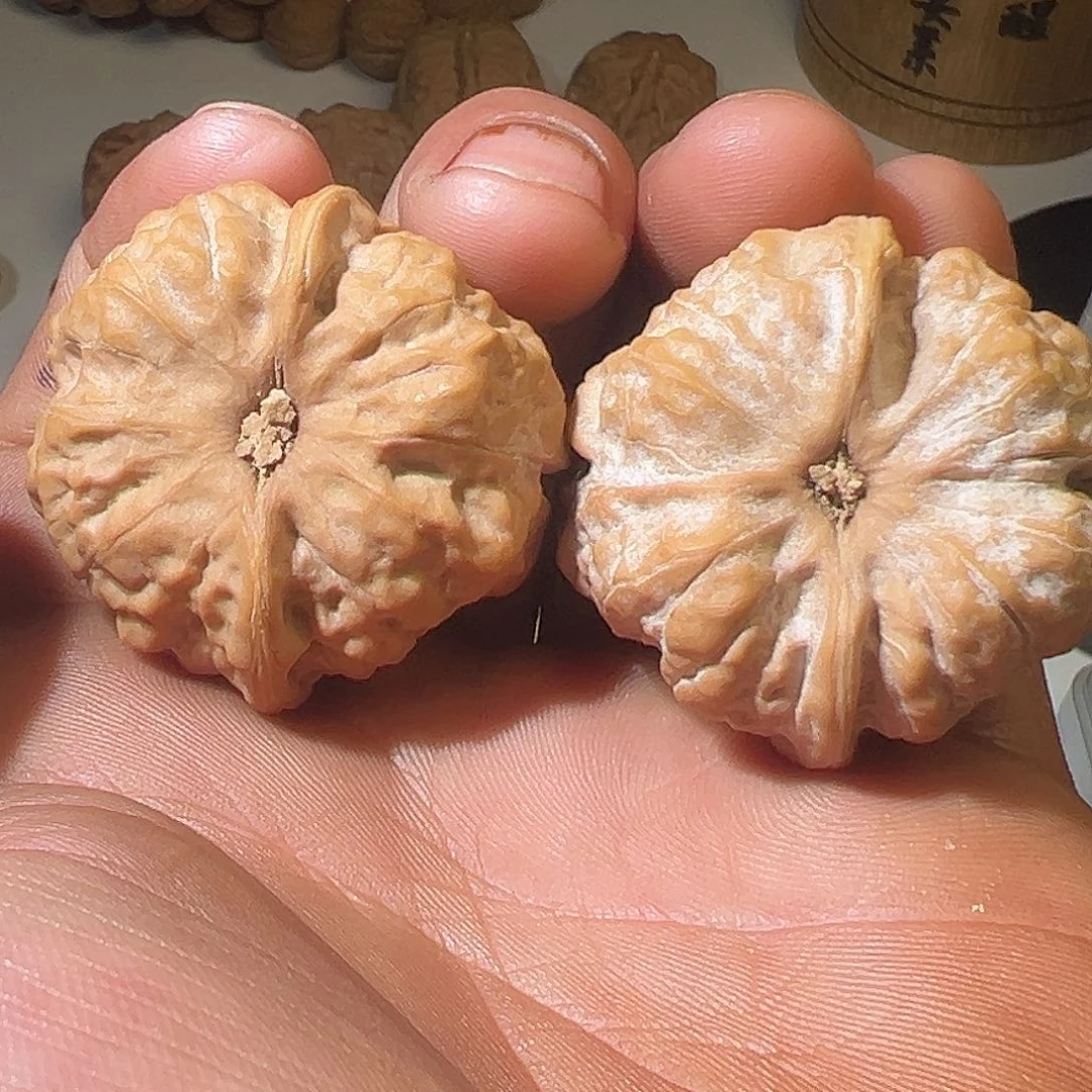 吃***鱼文玩核桃把件文玩
