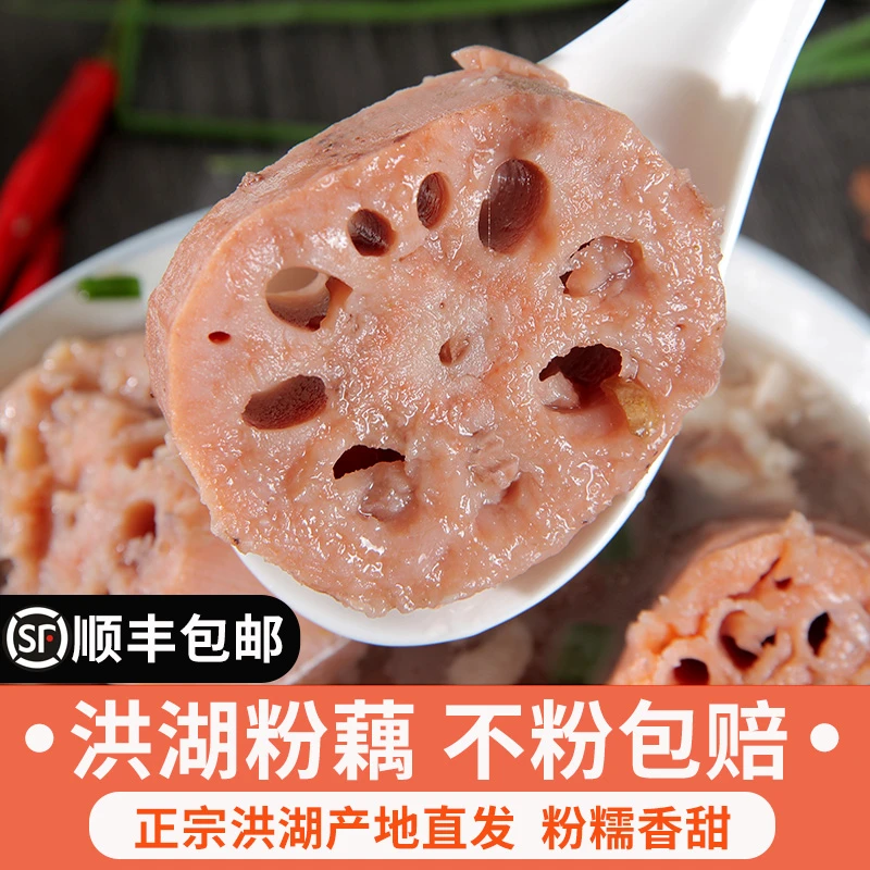 湖畔正宗洪湖粉藕新鲜莲藕煲汤湖藕泥藕汤藕湖北特产蔬菜批发包邮