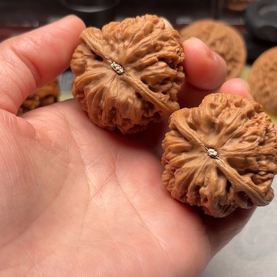 智***乐把件文玩核桃大粗筋