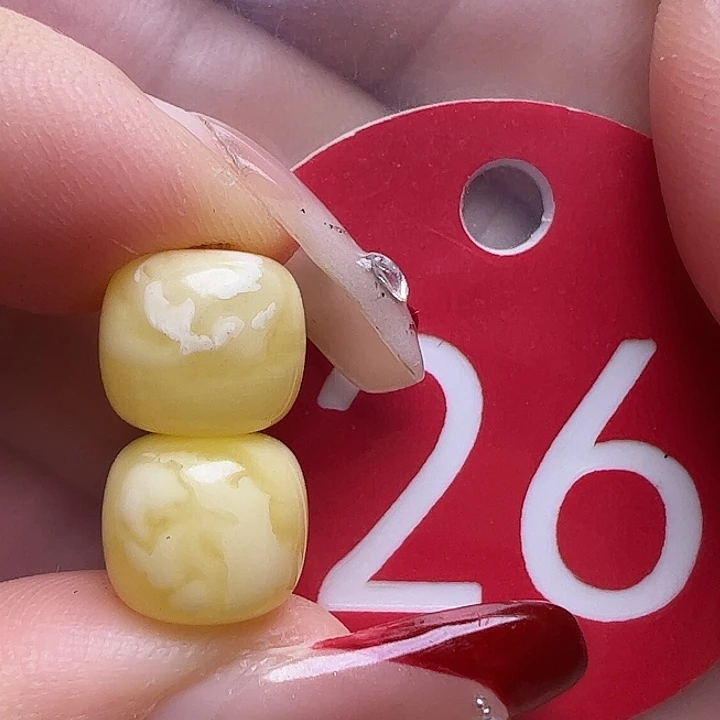 蜜蜡未镶嵌珠宝奇石9.2mm满蜜妖花老型