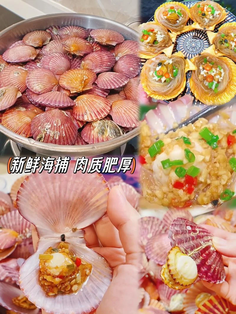 鲜活小红贝鲜甜肥美鲜活发货顺丰包邮保鲜保肥