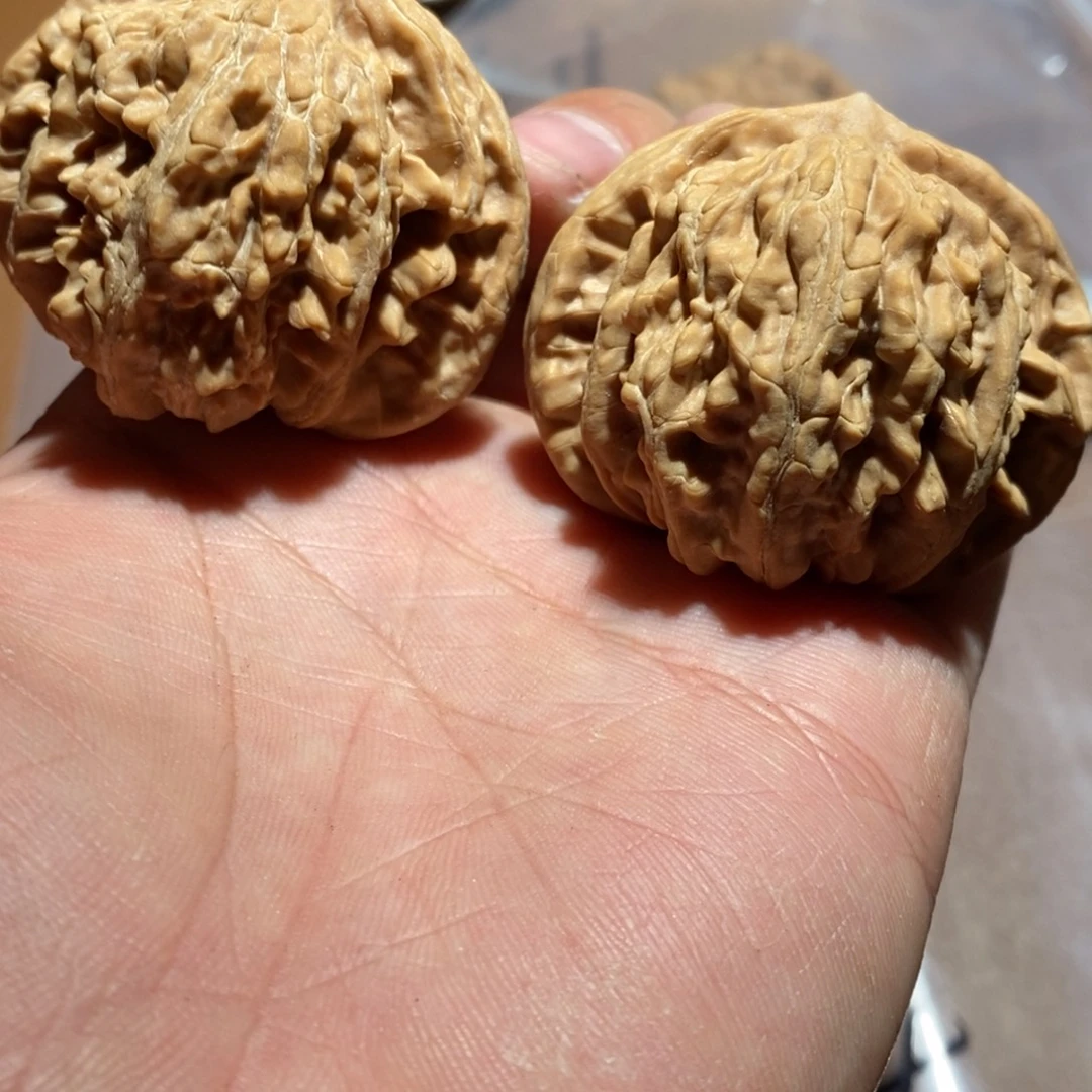核桃手串/手链104