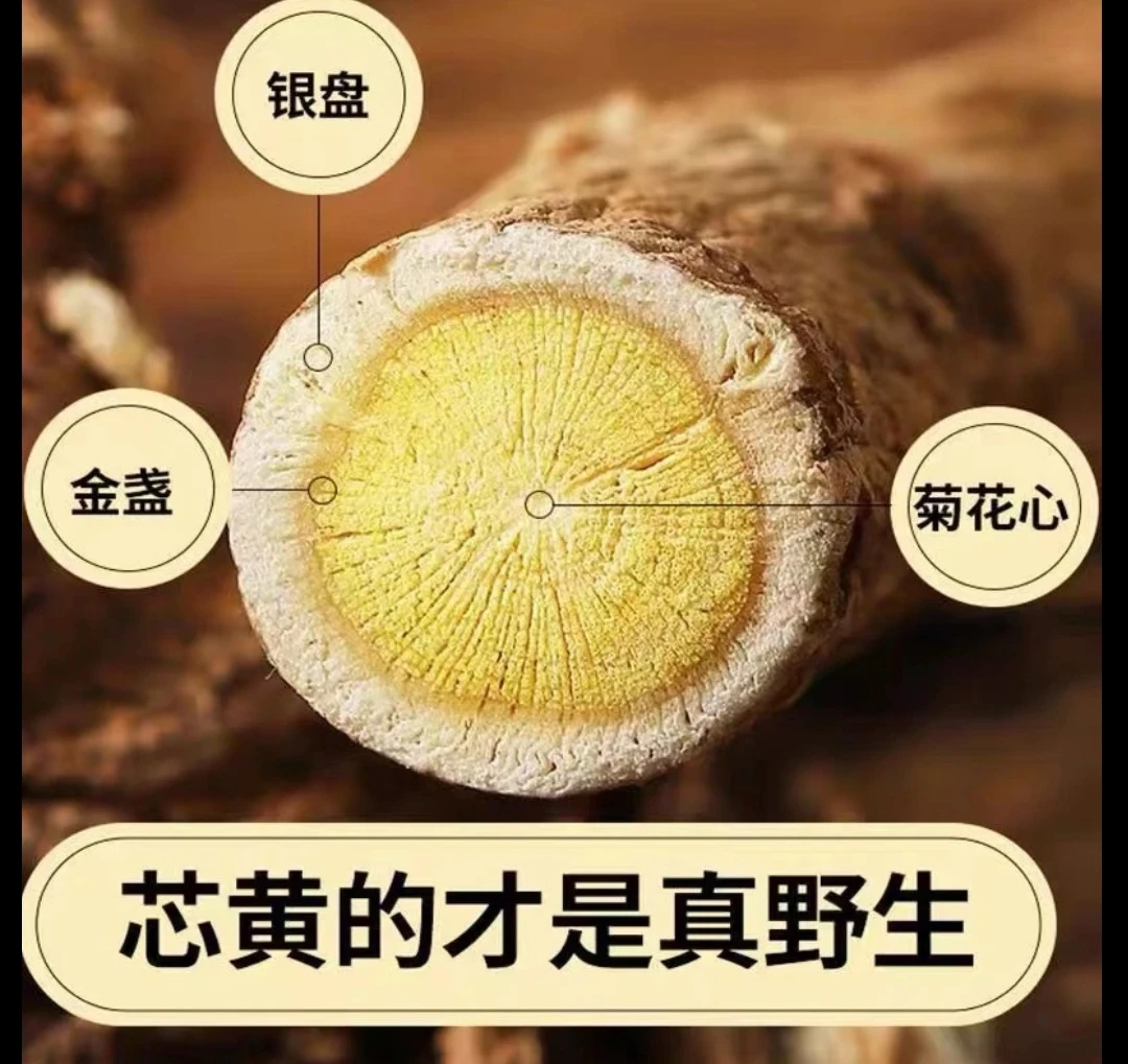 野黄芪甘肃岷县多年生长大片无熏硫可煲汤泡水