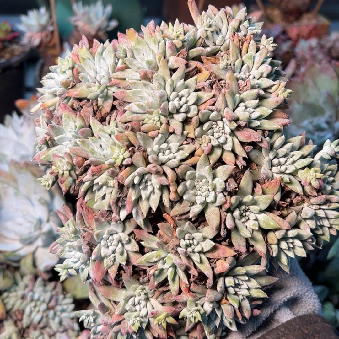 255个哈哈哈哈哈哈哈哈