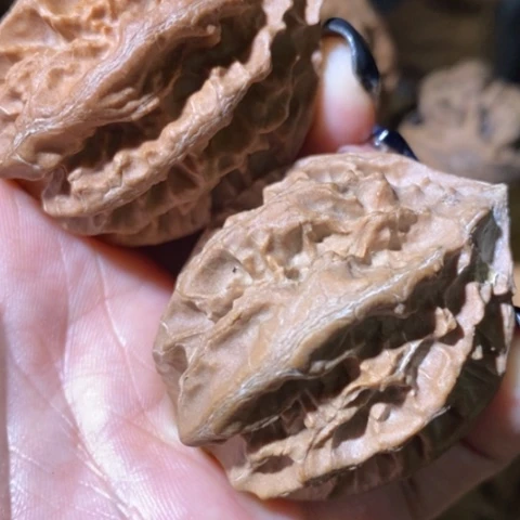 把件文玩核桃东北野生楸子小美47瑕疵