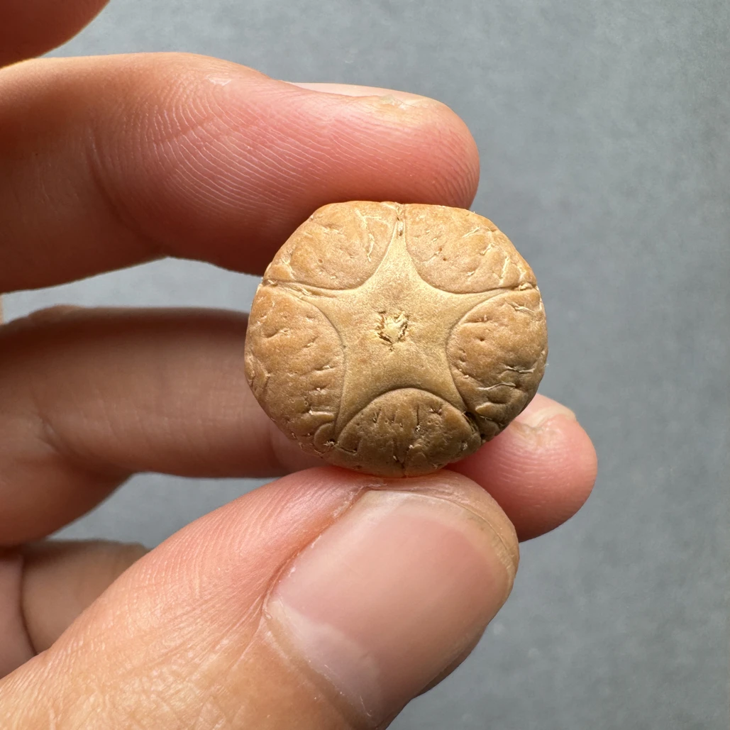 精品20+五星上将菩提凤眼菩提三通佛头，非质量问题开孔不退