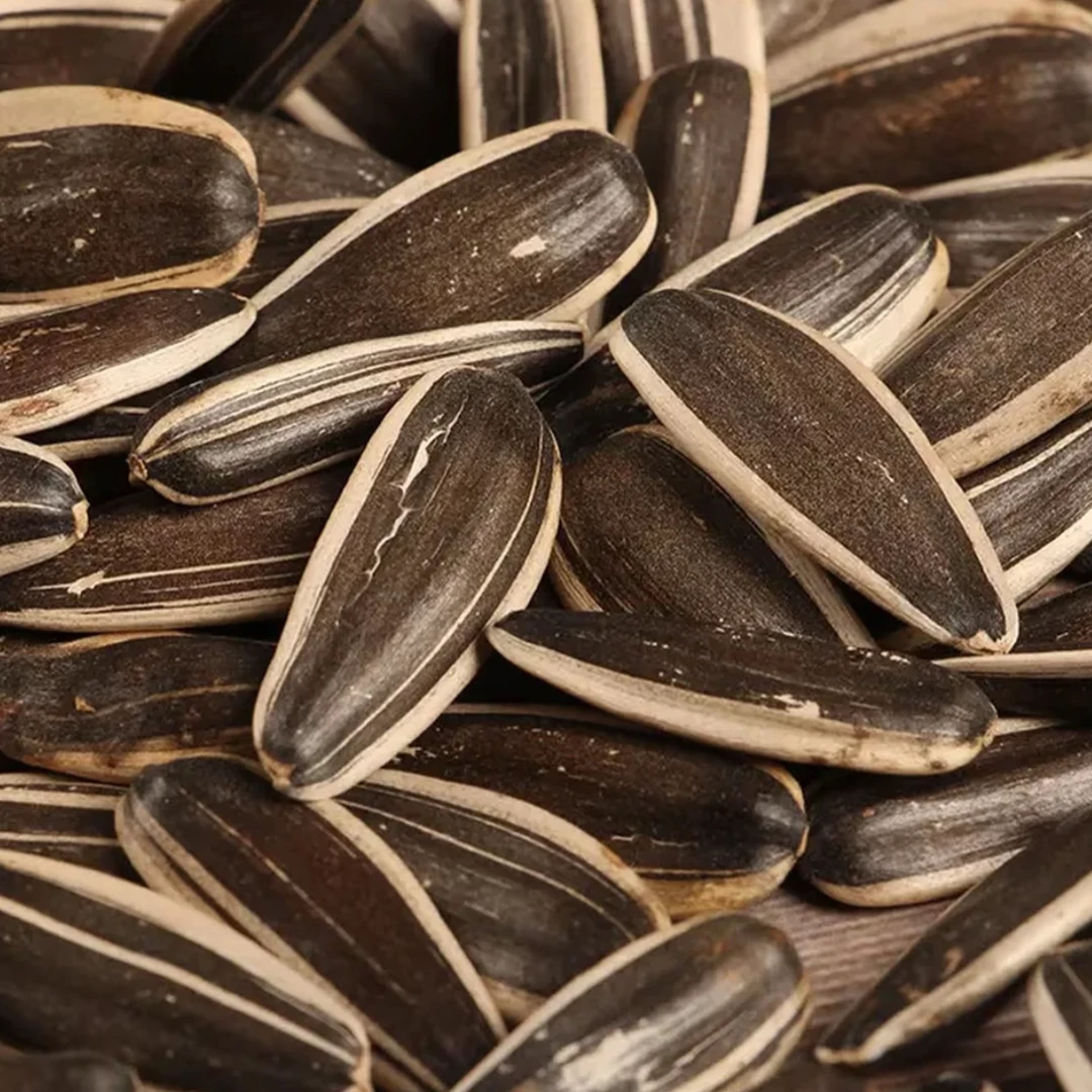 【买一送一】中颗粒原味生瓜子