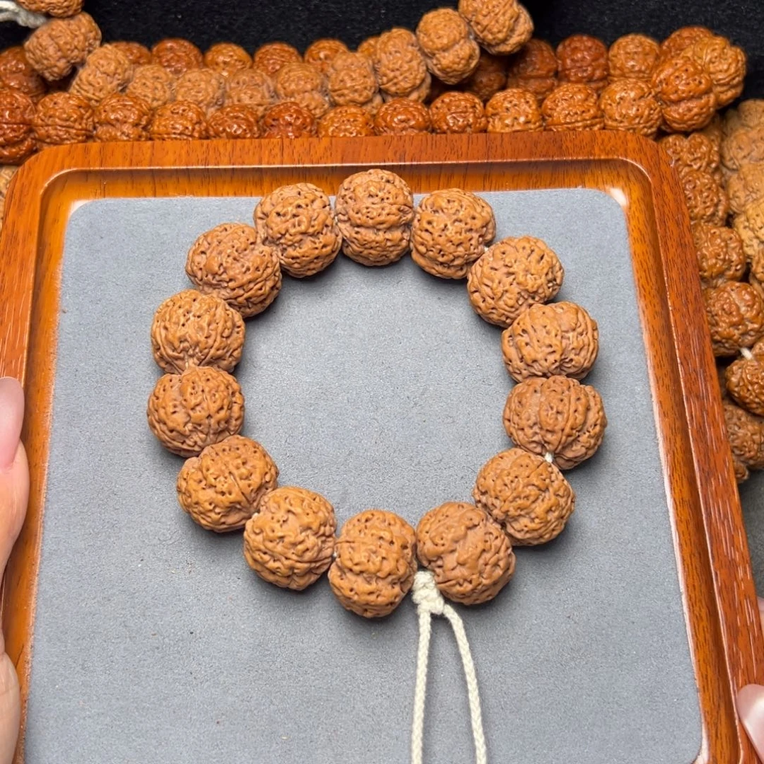 菩提20号金刚菩提满肉梅花24