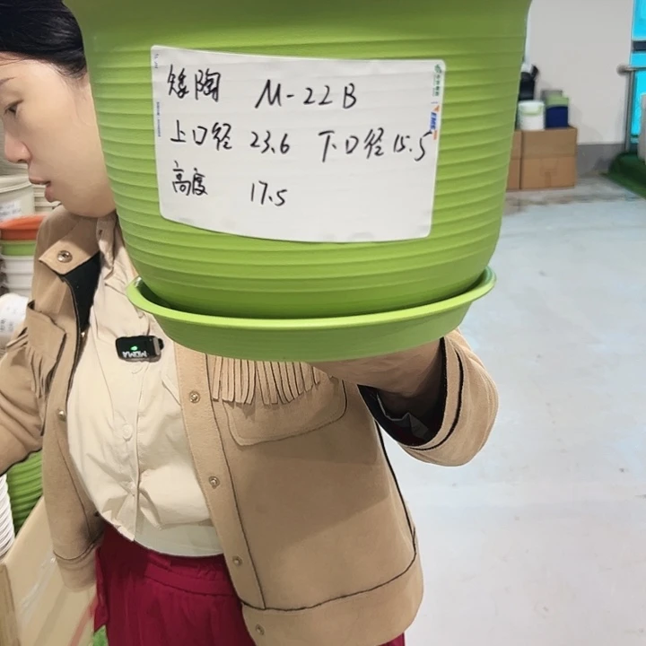 正品矮陶口24高17混色带托6只