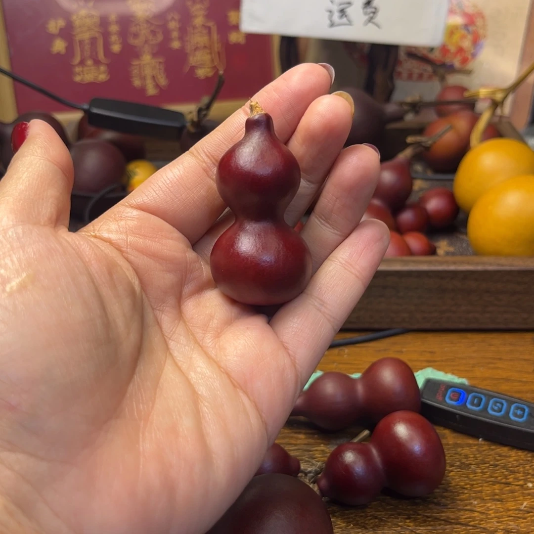 淡**风你好585585464688