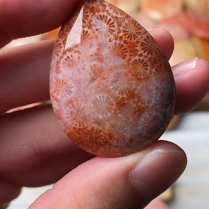 ༺***༻硅化珊瑚未镶嵌颈饰