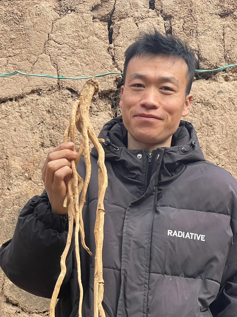 高海拔高含量大条下山货老党参可泡茶煲汤的干货新货