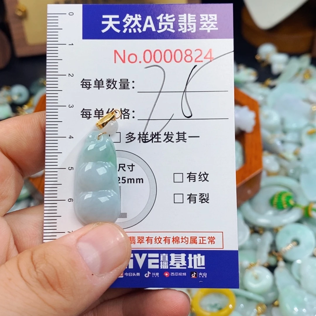 翡翠未镶嵌颈饰824
