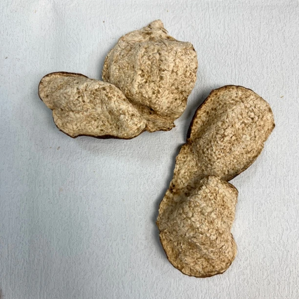 正宗2021年新会东甲陈皮大红断皮干仓自然生晒泡茶陈皮广东特产