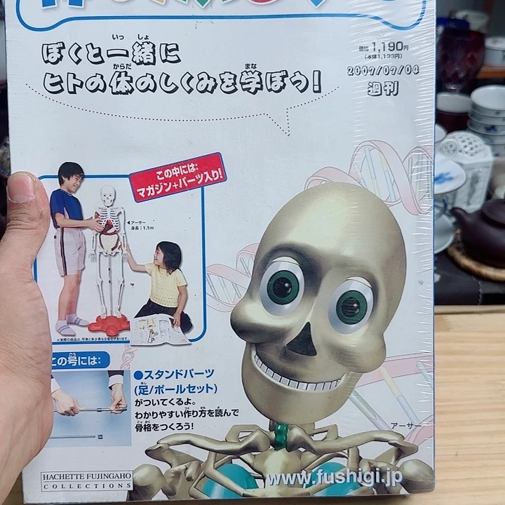 瓷片啊啊啊啊啊啊啊啊啊