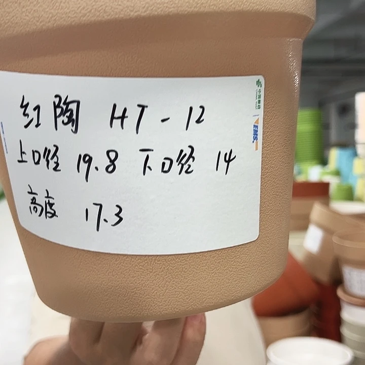 正品仿陶口19高17混色6个无托