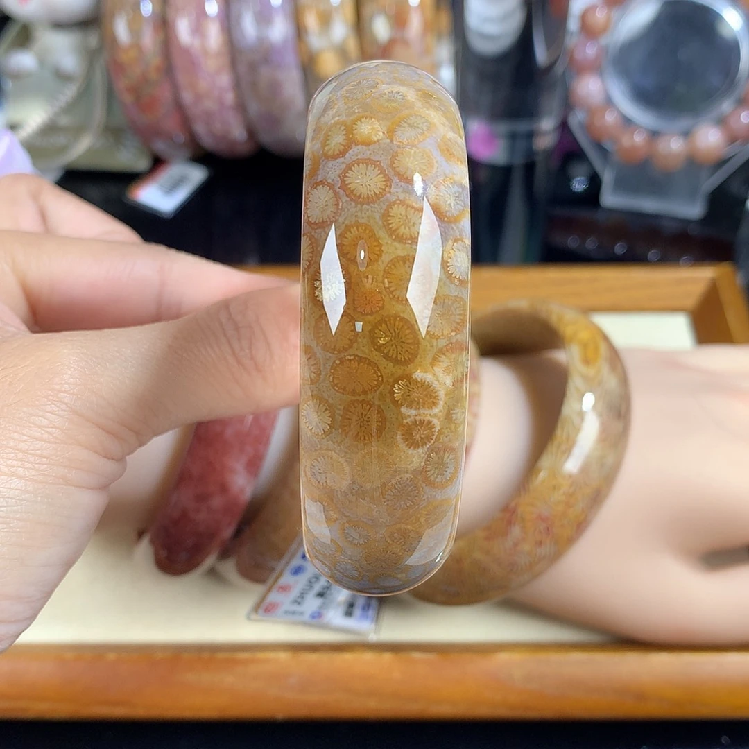 吊坠(赠链)未镶嵌硅化珊瑚（珊瑚玉）20号58圈口