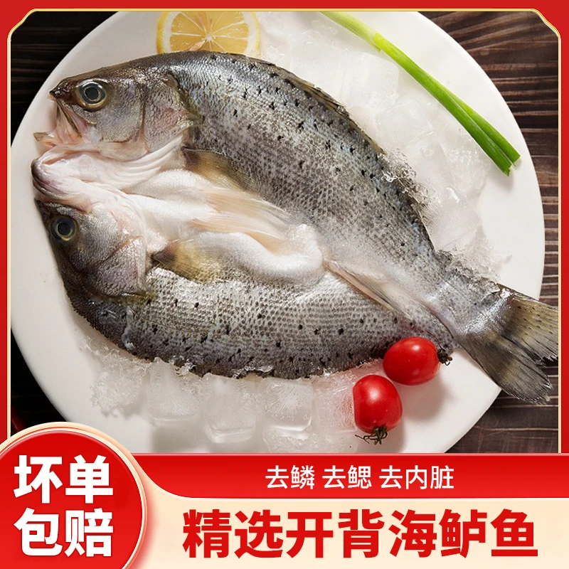 开背海鲈鱼 新鲜速冻三去免处理 鲜嫩美味 到手4大条