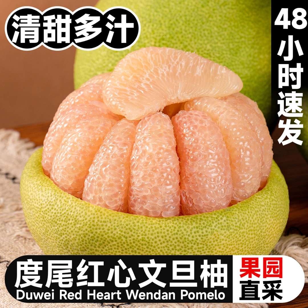 正宗福建仙游度尾老树文旦柚蜜柚子薄皮当季现摘孕妇新鲜水果23