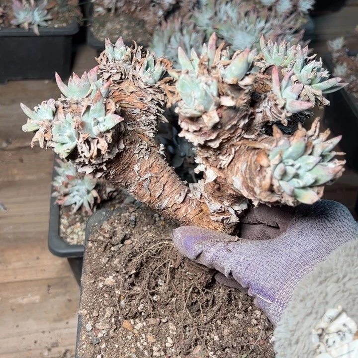 1605哈哈哈哈哈哈哈哈