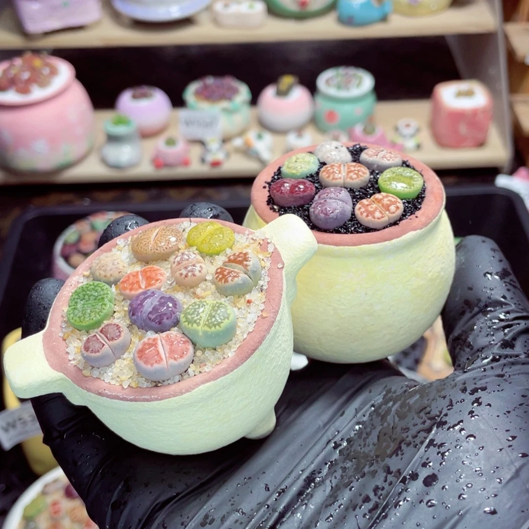 夜间零下地区拍保温箱w5507